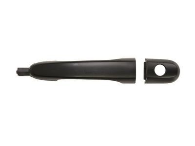 Exterior Door Handle BLIC 6010-53-019402P