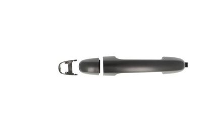 Exterior Door Handle BLIC 6010-53-041402P