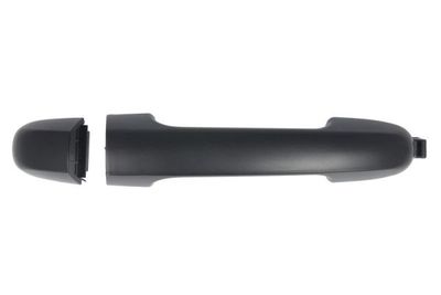 Exterior Door Handle BLIC 6010-53-041406P