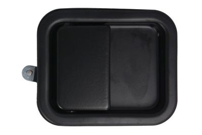 Exterior Door Handle BLIC 6010-55-002401P