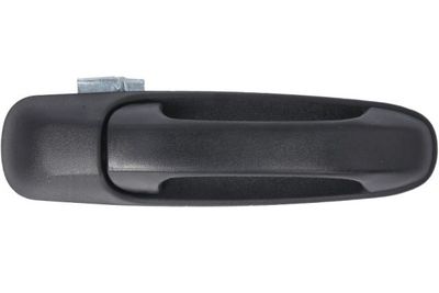 Exterior Door Handle BLIC 6010-55-007402P