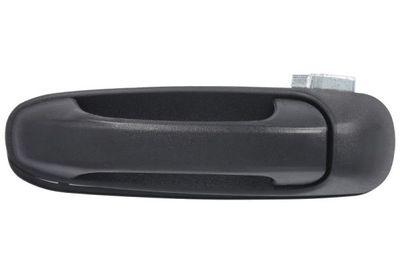 Exterior Door Handle BLIC 6010-55-007403P