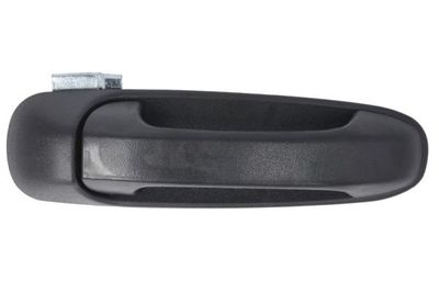 Exterior Door Handle BLIC 6010-55-007404P