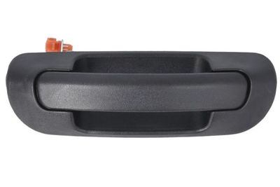 Exterior Door Handle BLIC 6010-55-007417P