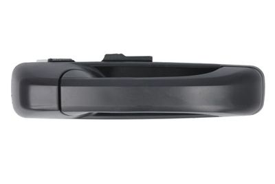 Exterior Door Handle BLIC 6010-55-008402P