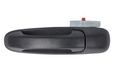 Tailgate Handle BLIC 6010-55-008417P