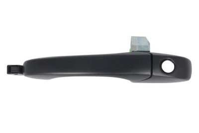 Exterior Door Handle BLIC 6010-55-010401P