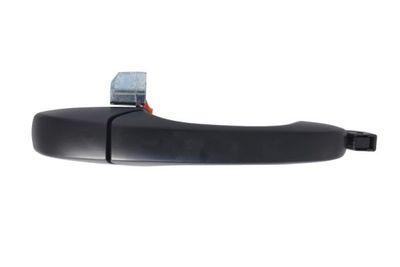 Exterior Door Handle BLIC 6010-55-010402P