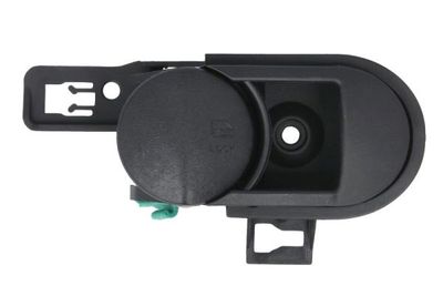 Exterior Door Handle BLIC 6010-55-013409PP