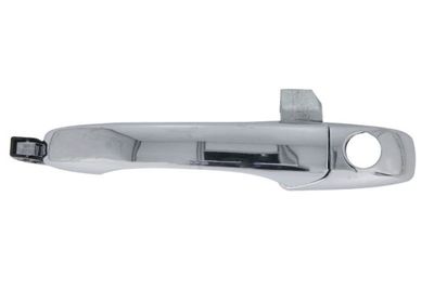 Exterior Door Handle BLIC 6010-55-015401P