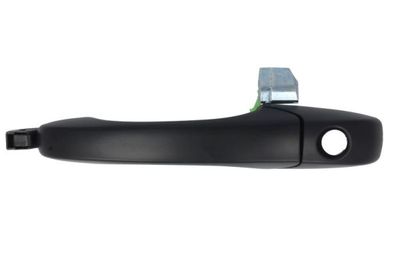 Exterior Door Handle BLIC 6010-55-015401PP