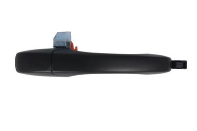 Exterior Door Handle BLIC 6010-55-015402PP