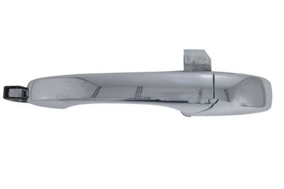 Exterior Door Handle BLIC 6010-55-015403P