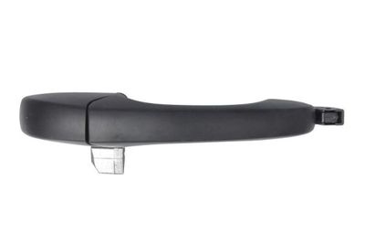 Exterior Door Handle BLIC 6010-55-015403PP