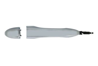 Exterior Door Handle BLIC 6010-55-019420PP