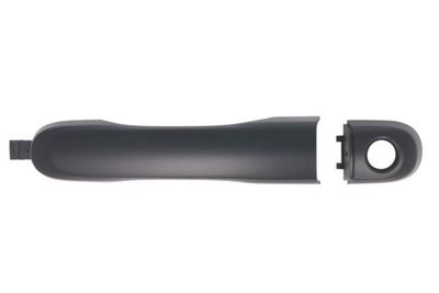 Exterior Door Handle BLIC 6010-55-020401PP