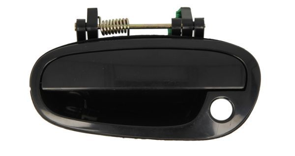 BLIC 6010-56-002401P Exterior Door Handle
