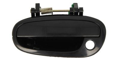 Exterior Door Handle BLIC 6010-56-002401P