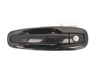 Exterior Door Handle BLIC 6010-56-002401PP