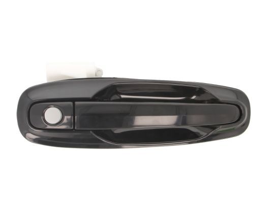 BLIC 6010-56-002402PP Exterior Door Handle