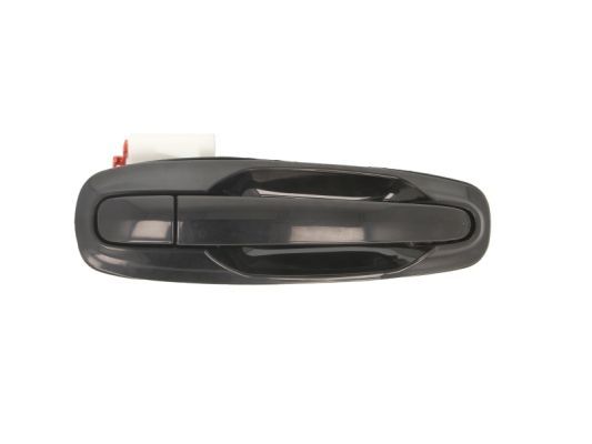 BLIC 6010-56-002404PP Exterior Door Handle