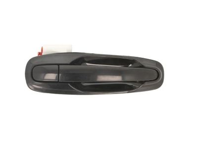 Exterior Door Handle BLIC 6010-56-002404PP