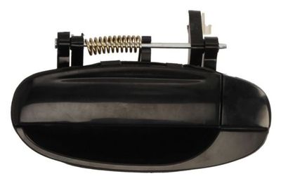 Exterior Door Handle BLIC 6010-56-005403P