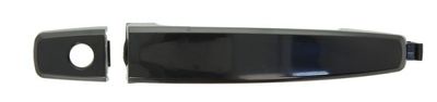 Exterior Door Handle BLIC 6010-56-005405P