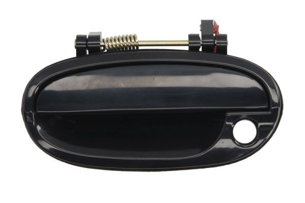 BLIC 6010-56-007401PP Exterior Door Handle