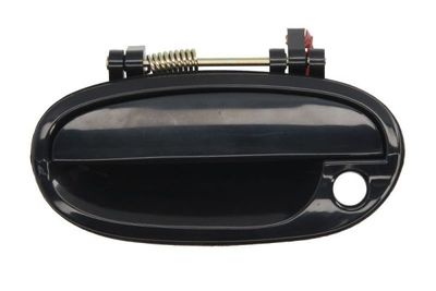 Exterior Door Handle BLIC 6010-56-007401PP