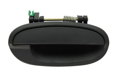 Exterior Door Handle BLIC 6010-56-007404P
