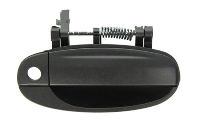 Exterior Door Handle BLIC 6010-56-008402P
