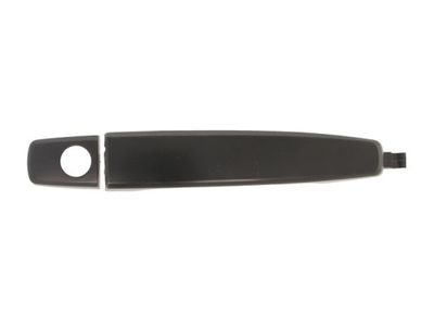 Exterior Door Handle BLIC 6010-56-009401P