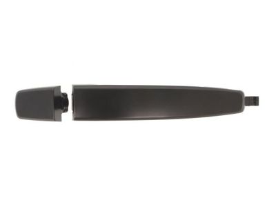 Exterior Door Handle BLIC 6010-56-009402P