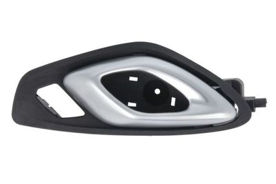 Exterior Door Handle BLIC 6010-56-014409P