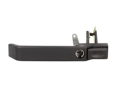 Exterior Door Handle BLIC 6010-57-005401P