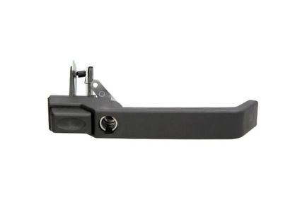 Exterior Door Handle BLIC 6010-57-005402P