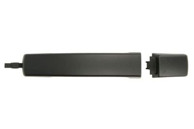 Exterior Door Handle BLIC 6010-57-011401P