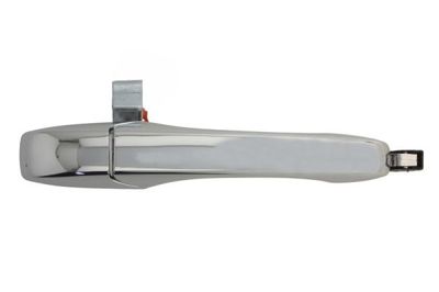 Exterior Door Handle BLIC 6010-58-011402PP