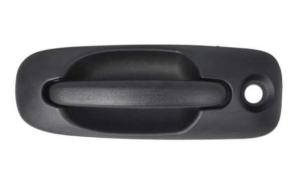 BLIC 6010-58-013401P Exterior Door Handle