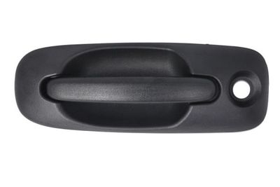 Exterior Door Handle BLIC 6010-58-013401P