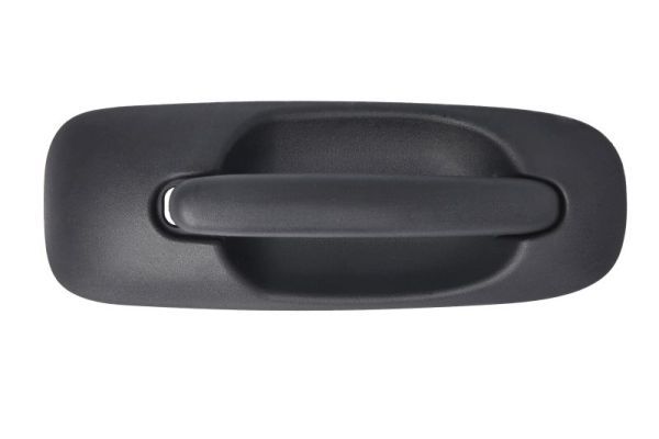 BLIC 6010-58-013402P Exterior Door Handle