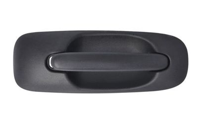 Exterior Door Handle BLIC 6010-58-013402P