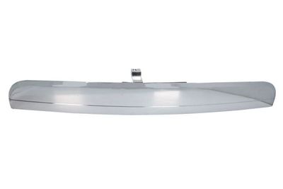 Tailgate Handle BLIC 6010-58-017417P