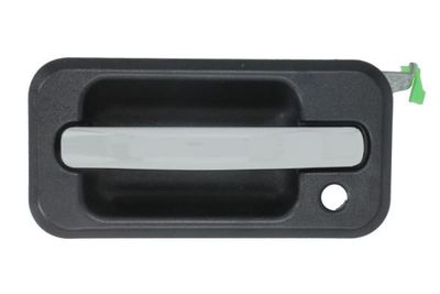 Exterior Door Handle BLIC 6010-88-2418401P