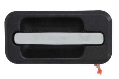Exterior Door Handle BLIC 6010-88-2418404P
