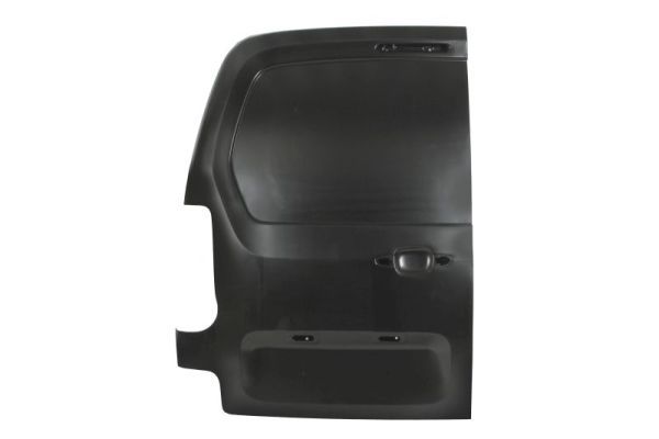 BLIC 6013-00-0552711P Door, body