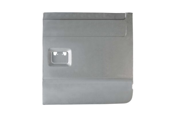 BLIC 6013-00-2509712P Interior Door Panel