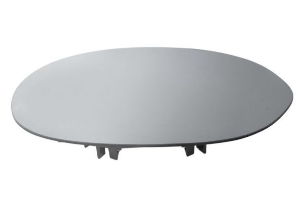 BLIC 6102-02-1232282P Mirror Glass, exterior mirror