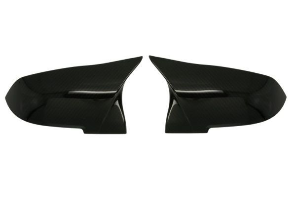 BLIC 6103-01-0063100KP Housing, exterior mirror